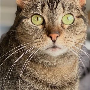 Meet your Posher, Karen